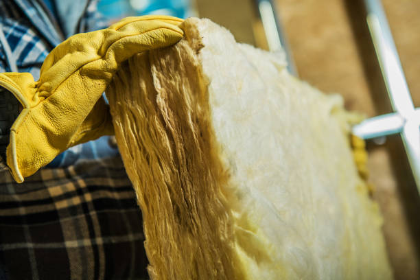 Insulation Inspection Services in Leachville, AR